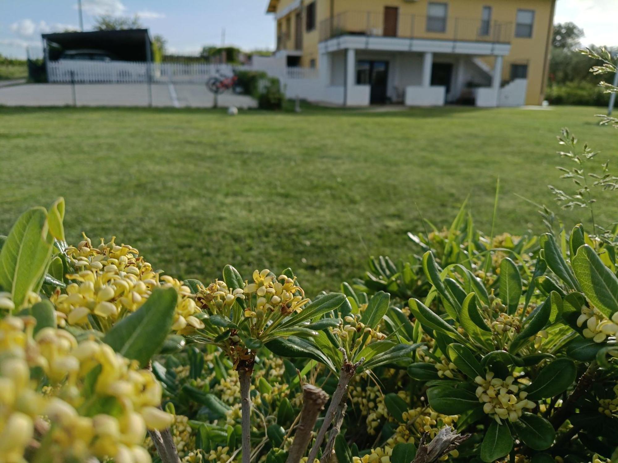 Natura e Mente Camere e Relax Vasto Exterior foto
